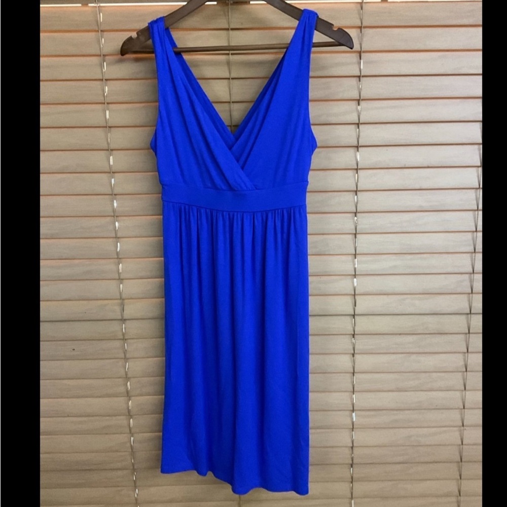 Blue Dress NWT